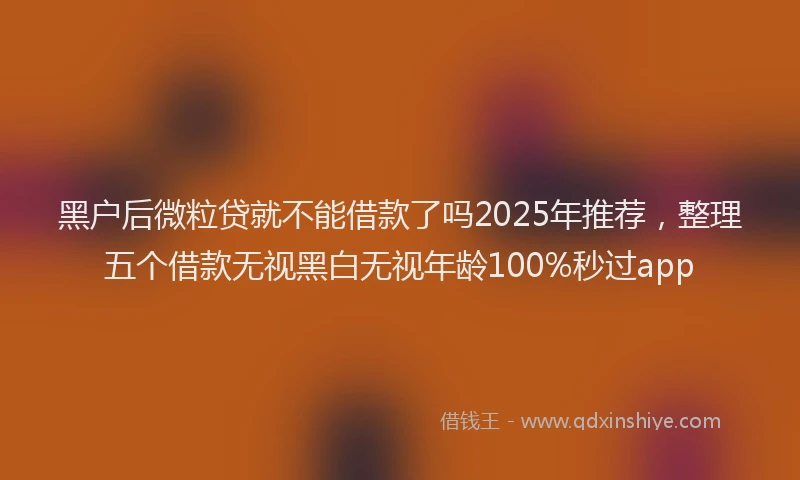 黑户后微粒贷就不能借款了吗2025年推荐，整理五个借款无视黑白无视年龄100%秒过app