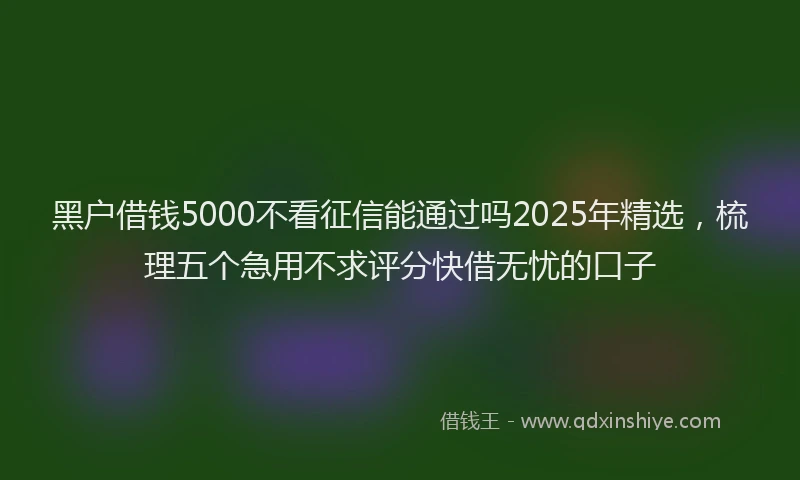 黑户借钱5000不看征信能通过吗2025年精选，梳理五个急用不求评分快借无忧的口子