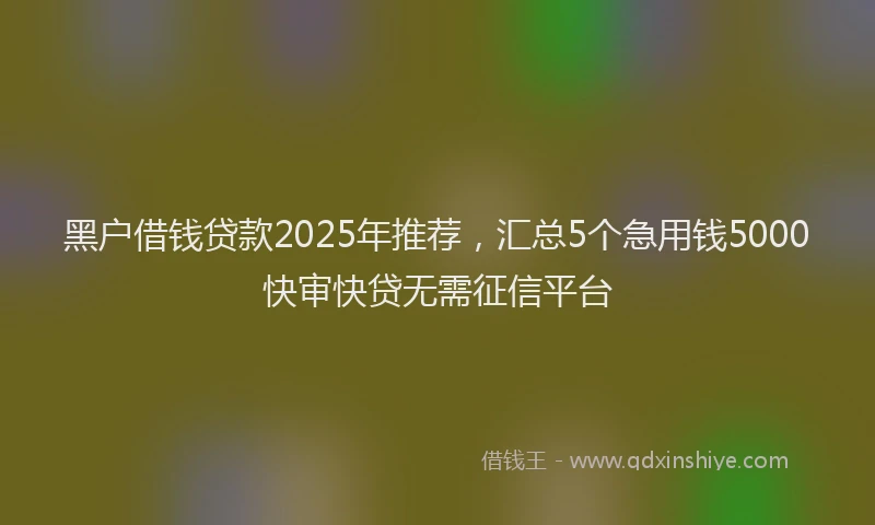 黑户借钱贷款2025年推荐，汇总5个急用钱5000快审快贷无需征信平台