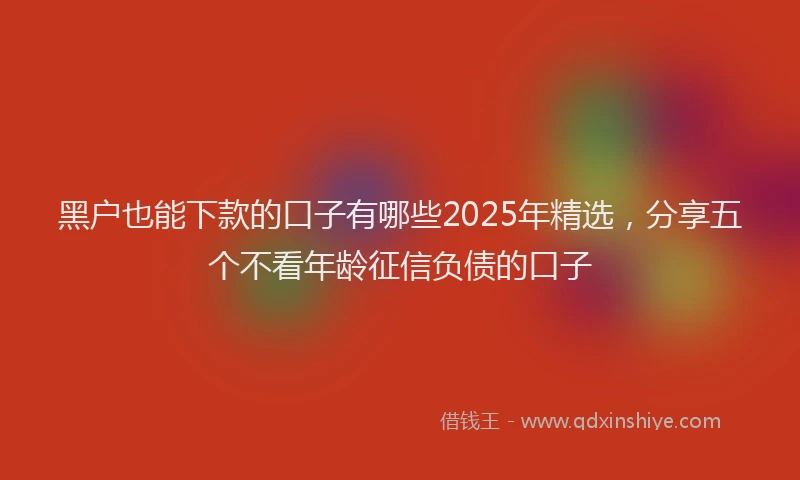 黑户也能下款的口子有哪些2025年精选，分享五个不看年龄征信负债的口子