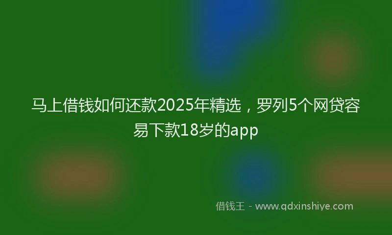 马上借钱如何还款2025年精选，罗列5个网贷容易下款18岁的app