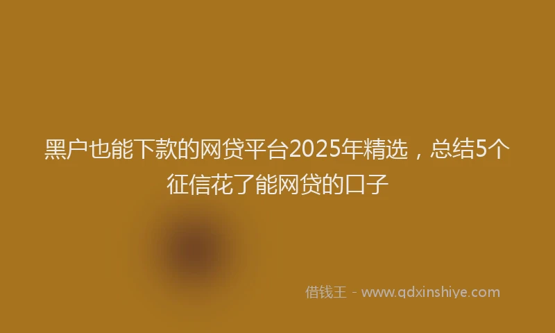 黑户也能下款的网贷平台2025年精选，总结5个征信花了能网贷的口子