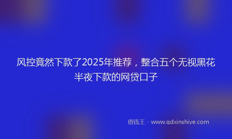 风控竟然下款了2025年推荐，整合五个无视黑花半夜下款的网贷口子