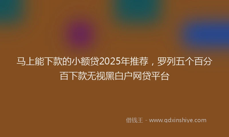 马上能下款的小额贷2025年推荐，罗列五个百分百下款无视黑白户网贷平台