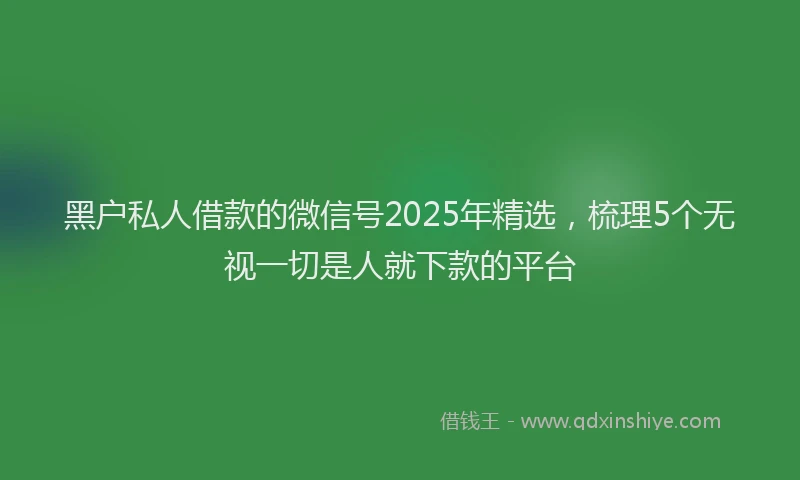 黑户私人借款的微信号2025年精选，梳理5个无视一切是人就下款的平台