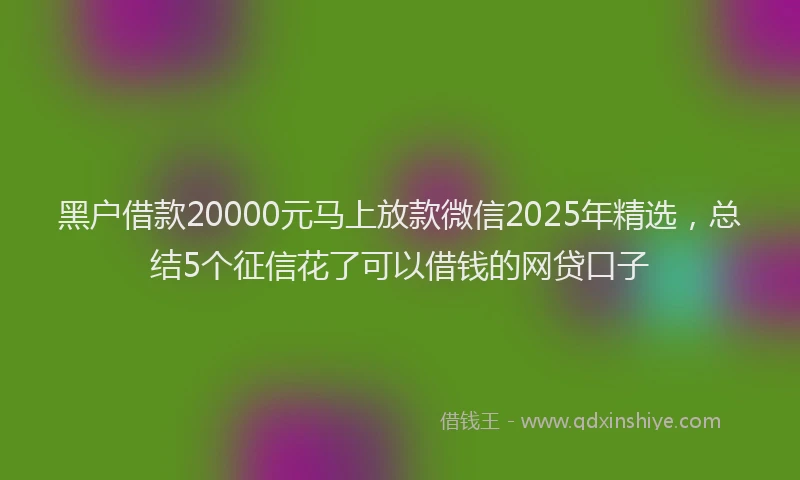 黑户借款20000元马上放款微信2025年精选，总结5个征信花了可以借钱的网贷口子