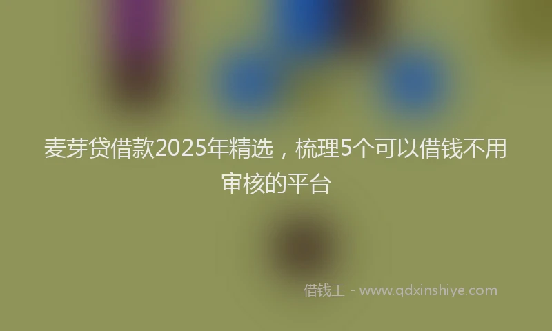 麦芽贷借款2025年精选，梳理5个可以借钱不用审核的平台