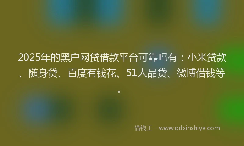 2025年的黑户网贷借款平台可靠吗有：小米贷款、随身贷、百度有钱花、51人品贷、微博借钱等。