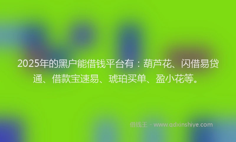 2025年的黑户能借钱平台有：葫芦花、闪借易贷通、借款宝速易、琥珀买单、盈小花等。