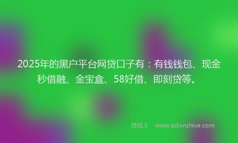 2025年的黑户平台网贷口子有：有钱钱包、现金秒借融、金宝盒、58好借、即刻贷等。