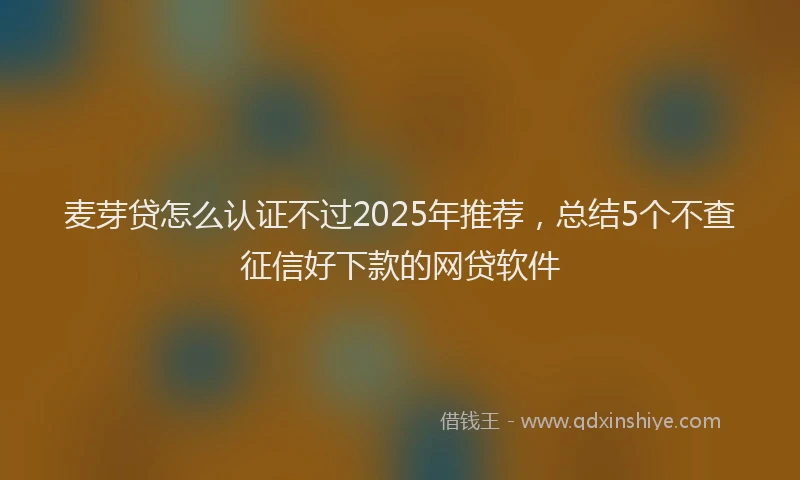 麦芽贷怎么认证不过2025年推荐，总结5个不查征信好下款的网贷软件
