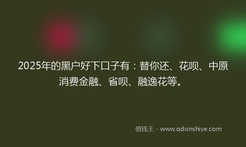 2025年的黑户好下口子有：替你还、花呗、中原消费金融、省呗、融逸花等。