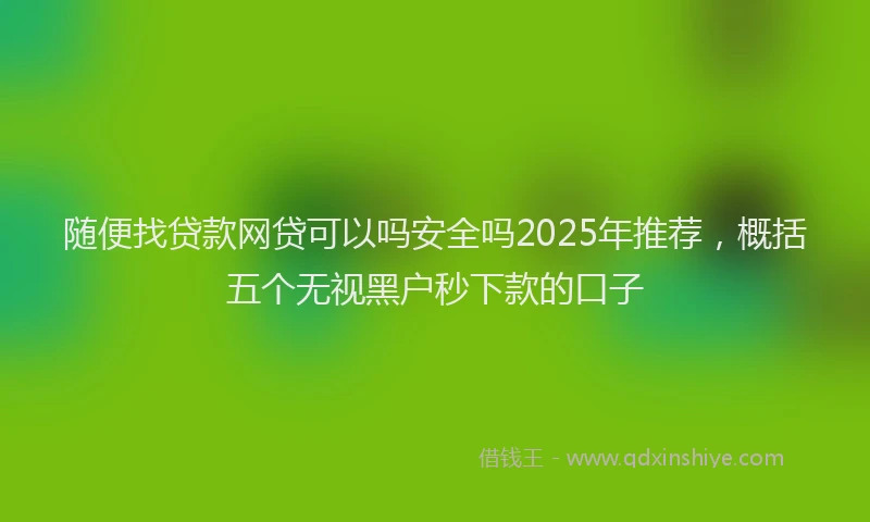 随便找贷款网贷可以吗安全吗2025年推荐，概括五个无视黑户秒下款的口子