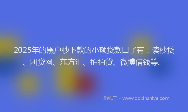 2025年的黑户秒下款的小额贷款口子有：读秒贷、团贷网、东方汇、拍拍贷、微博借钱等。
