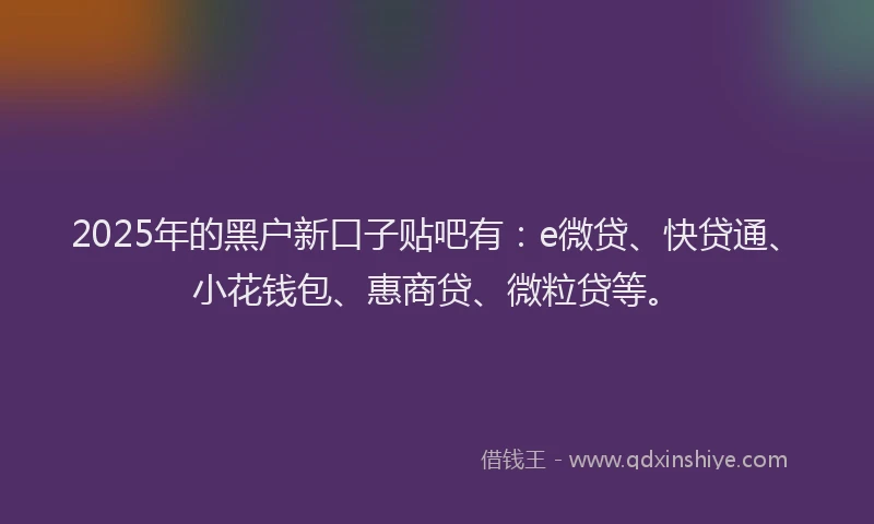 2025年的黑户新口子贴吧有：e微贷、快贷通、小花钱包、惠商贷、微粒贷等。