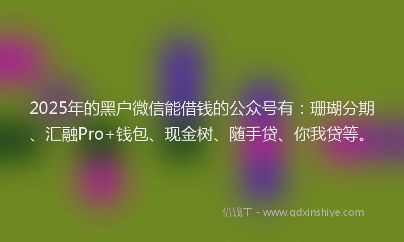 2025年的黑户微信能借钱的公众号有：珊瑚分期、汇融Pro+钱包、现金树、随手贷、你我贷等。