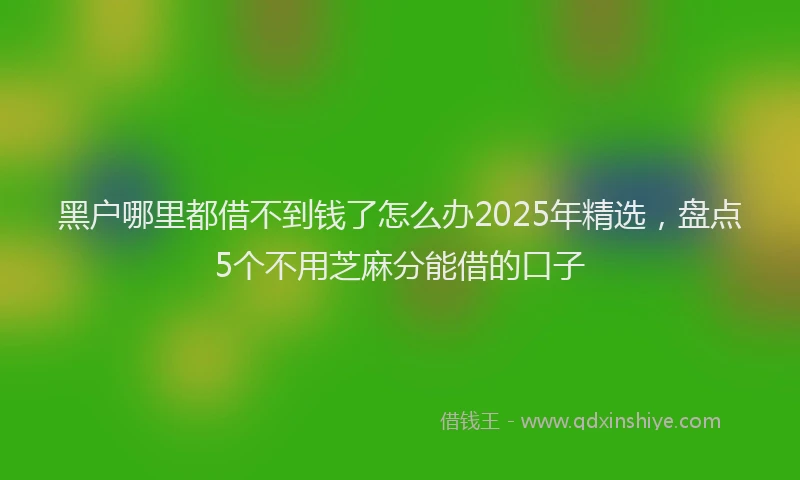 黑户哪里都借不到钱了怎么办2025年精选，盘点5个不用芝麻分能借的口子