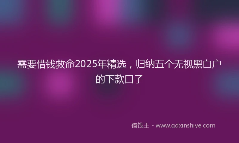 需要借钱救命2025年精选，归纳五个无视黑白户的下款口子