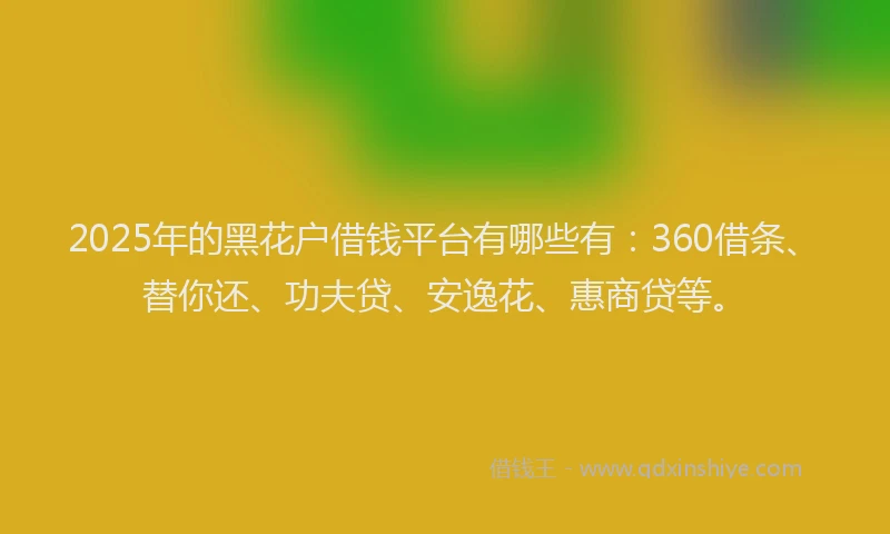 2025年的黑花户借钱平台有哪些有：360借条、替你还、功夫贷、安逸花、惠商贷等。