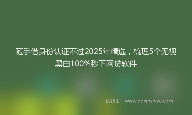 随手借身份认证不过2025年精选，梳理5个无视黑白100%秒下网贷软件