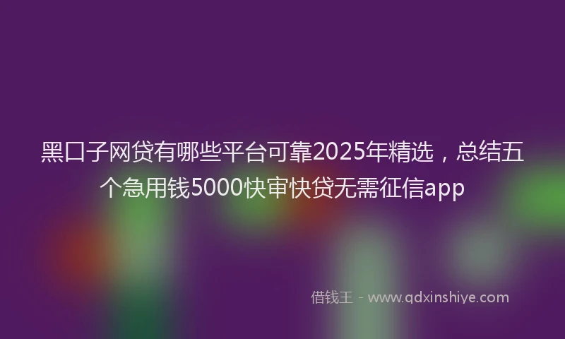 黑口子网贷有哪些平台可靠2025年精选，总结五个急用钱5000快审快贷无需征信app