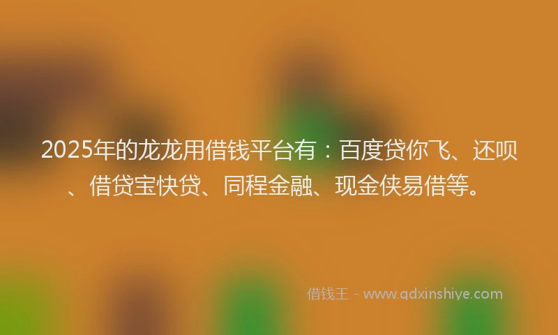 2025年的龙龙用借钱平台有：百度贷你飞、还呗、借贷宝快贷、同程金融、现金侠易借等。
