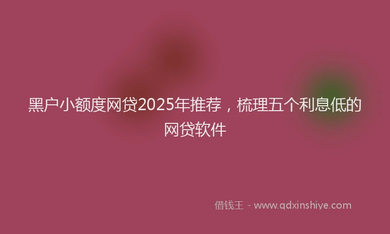 黑户小额度网贷2025年推荐，梳理五个利息低的网贷软件