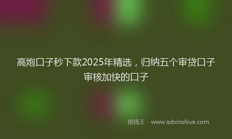 高炮口子秒下款2025年精选，归纳五个审贷口子审核加快的口子