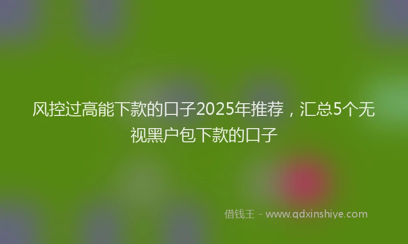 风控过高能下款的口子2025年推荐，汇总5个无视黑户包下款的口子
