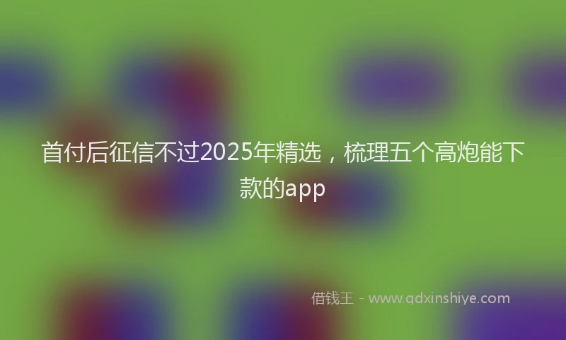 首付后征信不过2025年精选，梳理五个高炮能下款的app