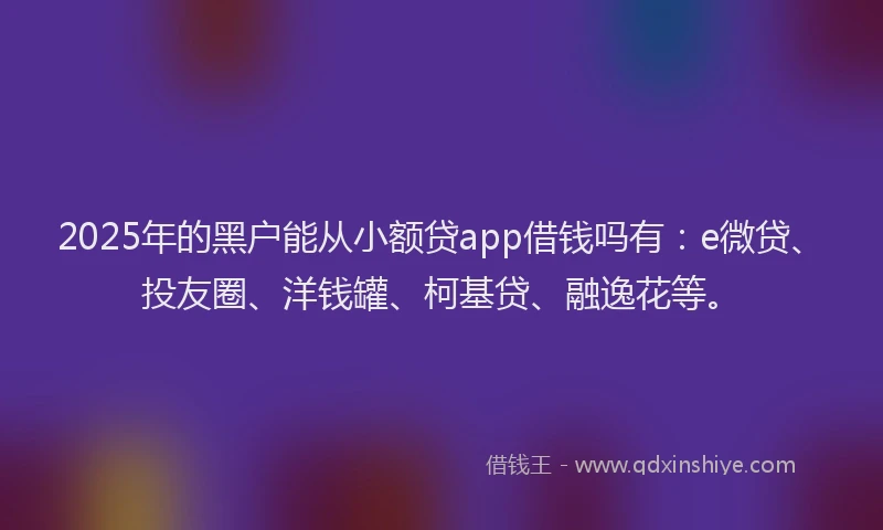 2025年的黑户能从小额贷app借钱吗有：e微贷、投友圈、洋钱罐、柯基贷、融逸花等。