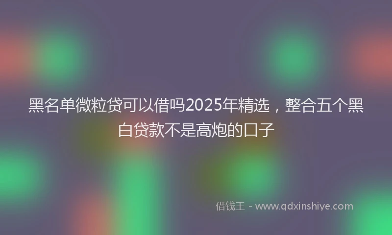 黑名单微粒贷可以借吗2025年精选，整合五个黑白贷款不是高炮的口子