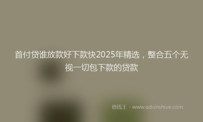 首付贷谁放款好下款快2025年精选，整合五个无视一切包下款的贷款