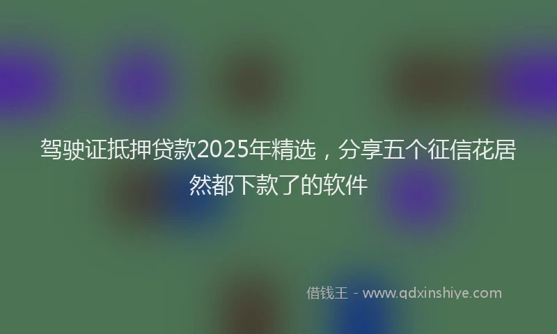 驾驶证抵押贷款2025年精选，分享五个征信花居然都下款了的软件