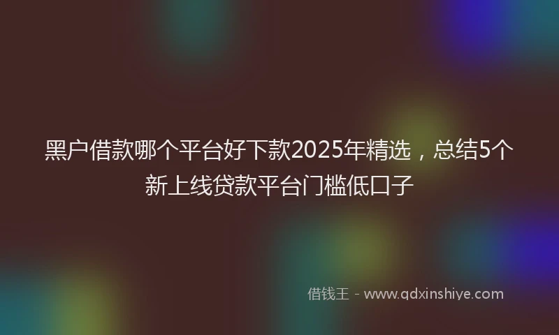 黑户借款哪个平台好下款2025年精选，总结5个新上线贷款平台门槛低口子