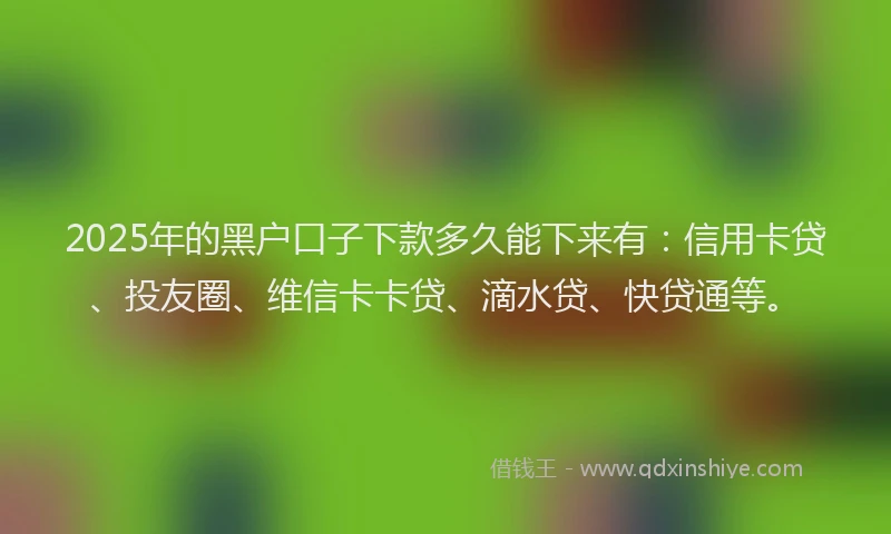 2025年的黑户口子下款多久能下来有：信用卡贷、投友圈、维信卡卡贷、滴水贷、快贷通等。