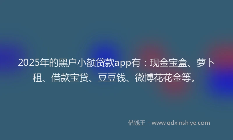 2025年的黑户小额贷款app有：现金宝盒、萝卜租、借款宝贷、豆豆钱、微博花花金等。