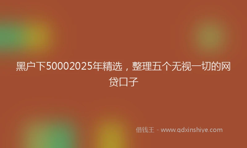 黑户下50002025年精选，整理五个无视一切的网贷口子