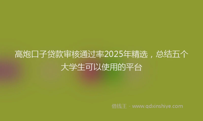高炮口子贷款审核通过率2025年精选，总结五个大学生可以使用的平台