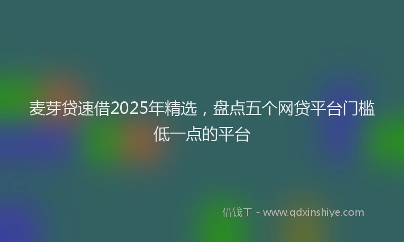 麦芽贷速借2025年精选，盘点五个网贷平台门槛低一点的平台