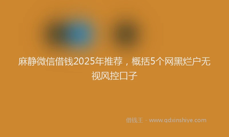 麻静微信借钱2025年推荐，概括5个网黑烂户无视风控口子