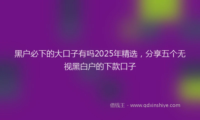 黑户必下的大口子有吗2025年精选，分享五个无视黑白户的下款口子