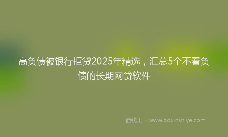 高负债被银行拒贷2025年精选，汇总5个不看负债的长期网贷软件