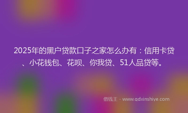 2025年的黑户贷款口子之家怎么办有：信用卡贷、小花钱包、花呗、你我贷、51人品贷等。