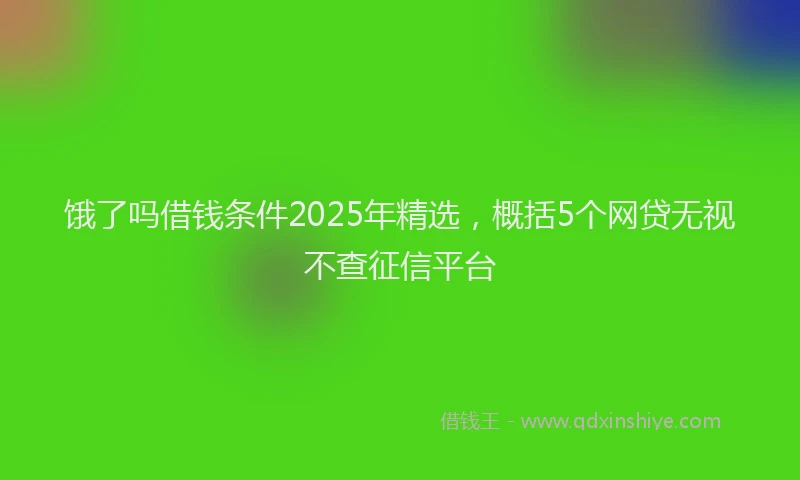 饿了吗借钱条件2025年精选，概括5个网贷无视不查征信平台