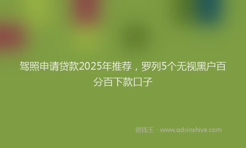 驾照申请贷款2025年推荐，罗列5个无视黑户百分百下款口子