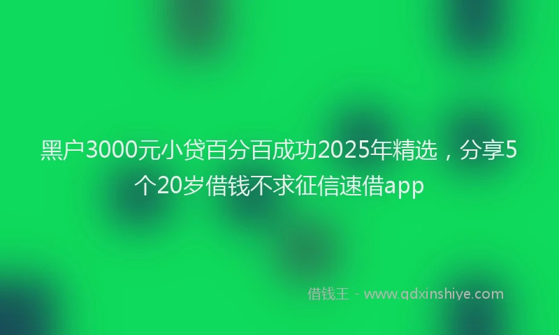 黑户3000元小贷百分百成功2025年精选，分享5个20岁借钱不求征信速借app