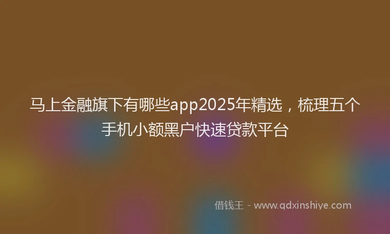马上金融旗下有哪些app2025年精选，梳理五个手机小额黑户快速贷款平台