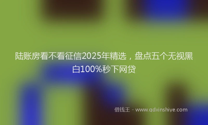 陆账房看不看征信2025年精选，盘点五个无视黑白100%秒下网贷