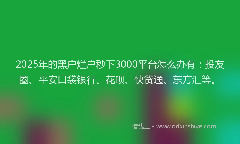 2025年的黑户烂户秒下3000平台怎么办有：投友圈、平安口袋银行、花呗、快贷通、东方汇等。